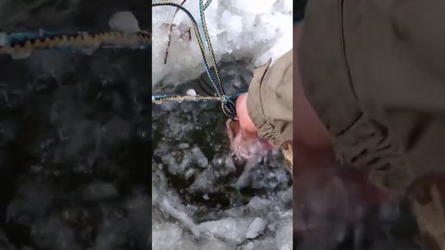 1000023237.mp4