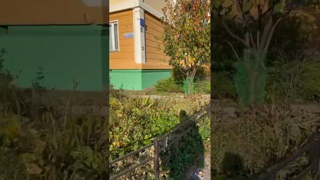🐐Владелец знаменитых коз из Бутово выиграл в суде дело о пожеванных кустах🐐