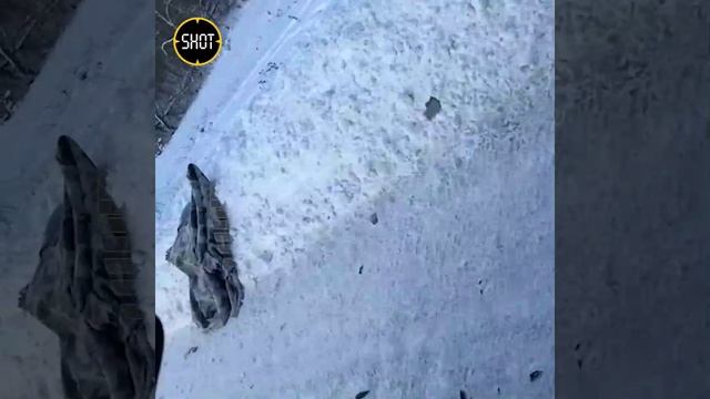 Девушки на тюбинге попали под колёса