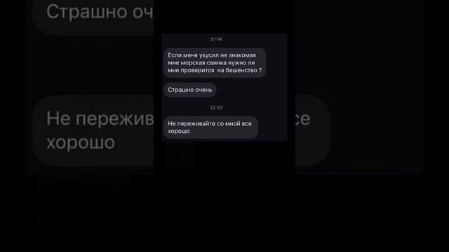 Переписка с доктором   #переписка #shortsvideo #мемы #мем