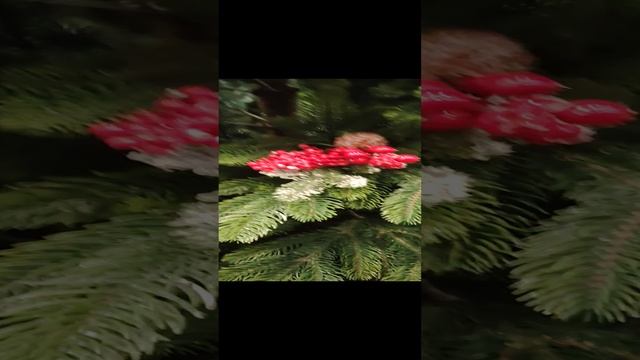 1000015244.mp4