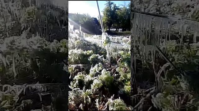 Заморозки 4 мая.