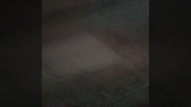 обзор на новый слвйм