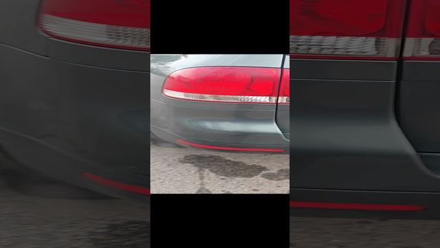 1000076241.mp4