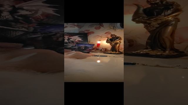 1000033567.mp4