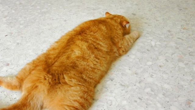 Медитация с сохранением энергии
