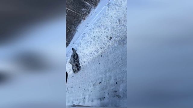 В Красноярске погибла девушка, залетев под встречный автомобиль на «плюшке»
