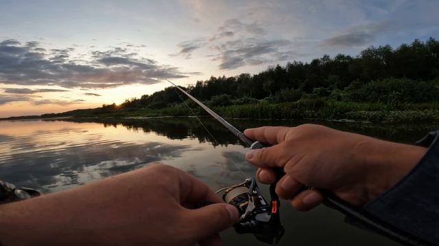 ПРИХОД ВОДЫ НА РЕКЕ. Рыбалка после Дождя. Река ОКА. ЛОВЛЯ на Спиннинг.