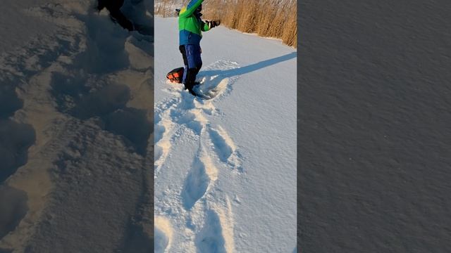 Зимняя рыбалка 2024