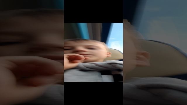 едем в крутом автобусе в лошадиную Ферму