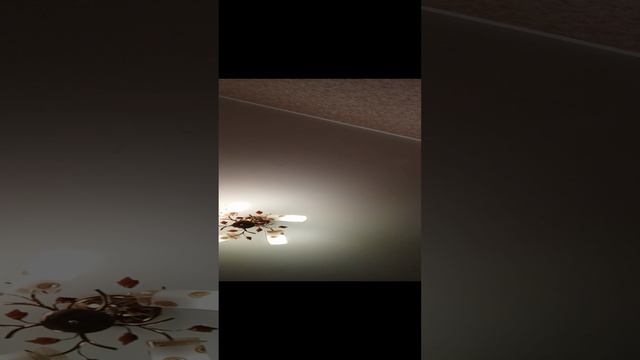 1000002928.mp4
