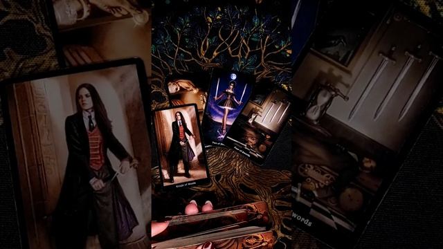 ВАЖНО🔥❗ О ЧЕМ ВАС ХОТЯТ ПРЕДУПРЕДИТЬ ВЫСШИЕ СИЛЫ 🧡 расклад таро #shorts #раскладтаро #таро
