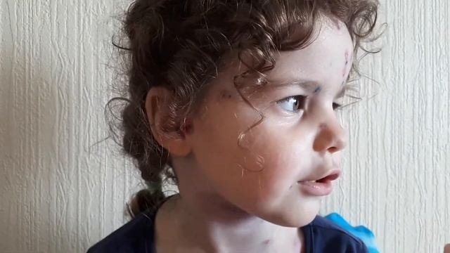 ГДЕ ЖЕ МАКС? НЕУЖЕЛИ БУДЕТ БЕЛКА?