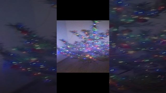 VID_20241210_200204.mp4