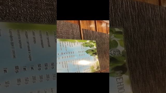 котик по кличке Серёга и играет в футбол в кафе берёзка Новосибирского зоопарка запись вид10-12-2024