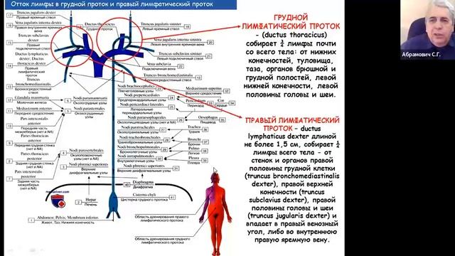 Медицинская реабилитация больных с раком молочной железы.  Часть2