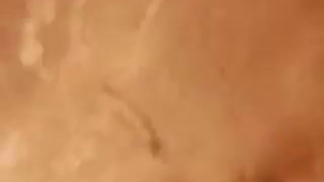 Sturgeon Eyegouge - Cooperblack