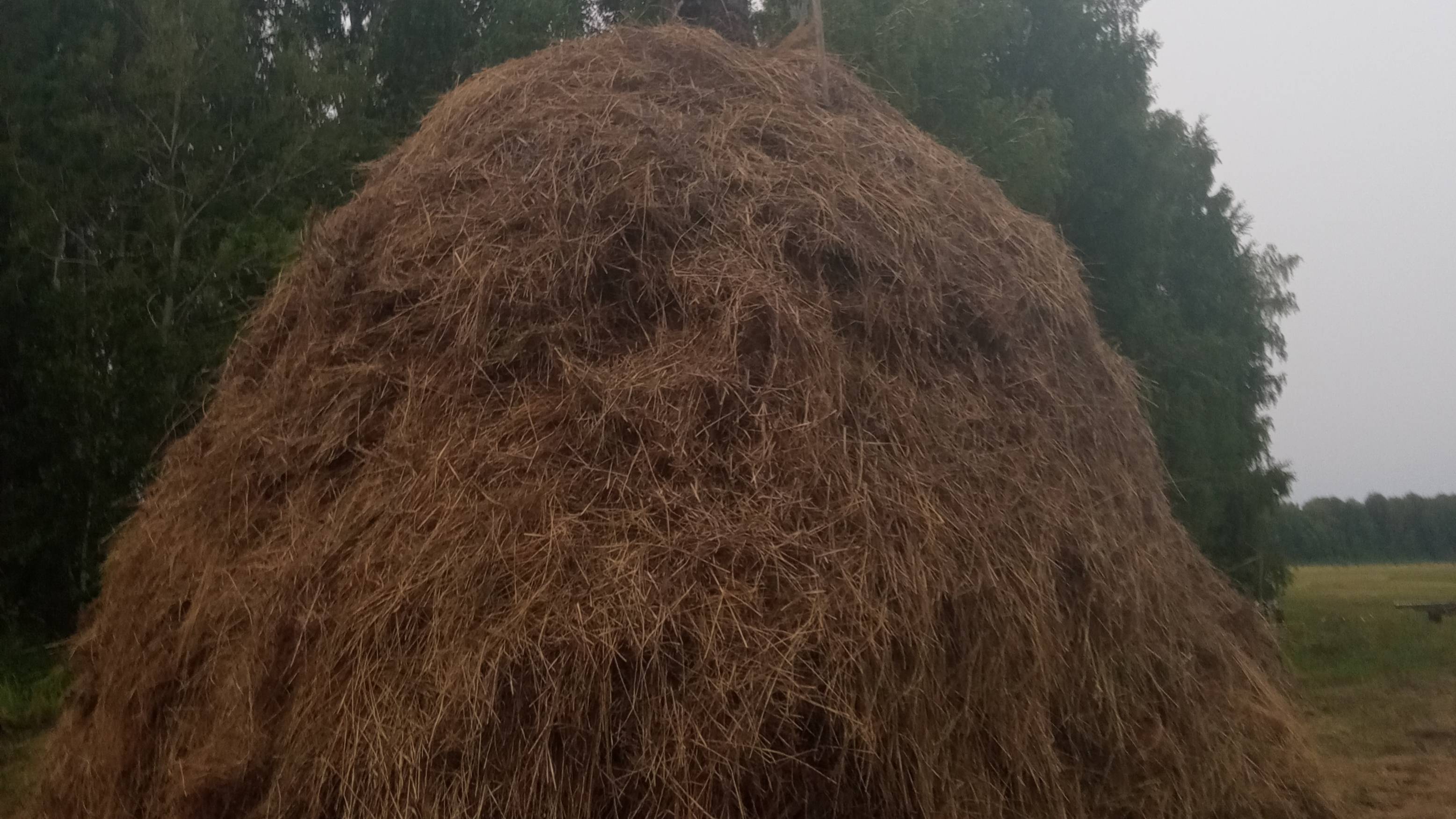 Перевозка сена.