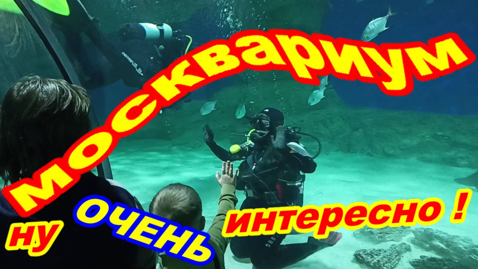 МОСКВАРИУМ ну ОЧЕНЬ интересно ! Экскурсия в МОСКВАРИУМ на ВДНХ видеоролик !