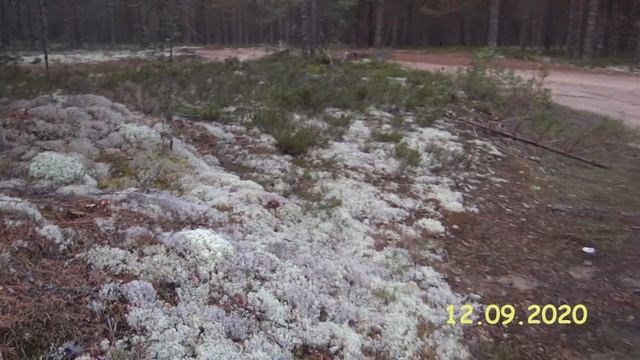 Знакомство с Карелией Дальше на Север Часть 10