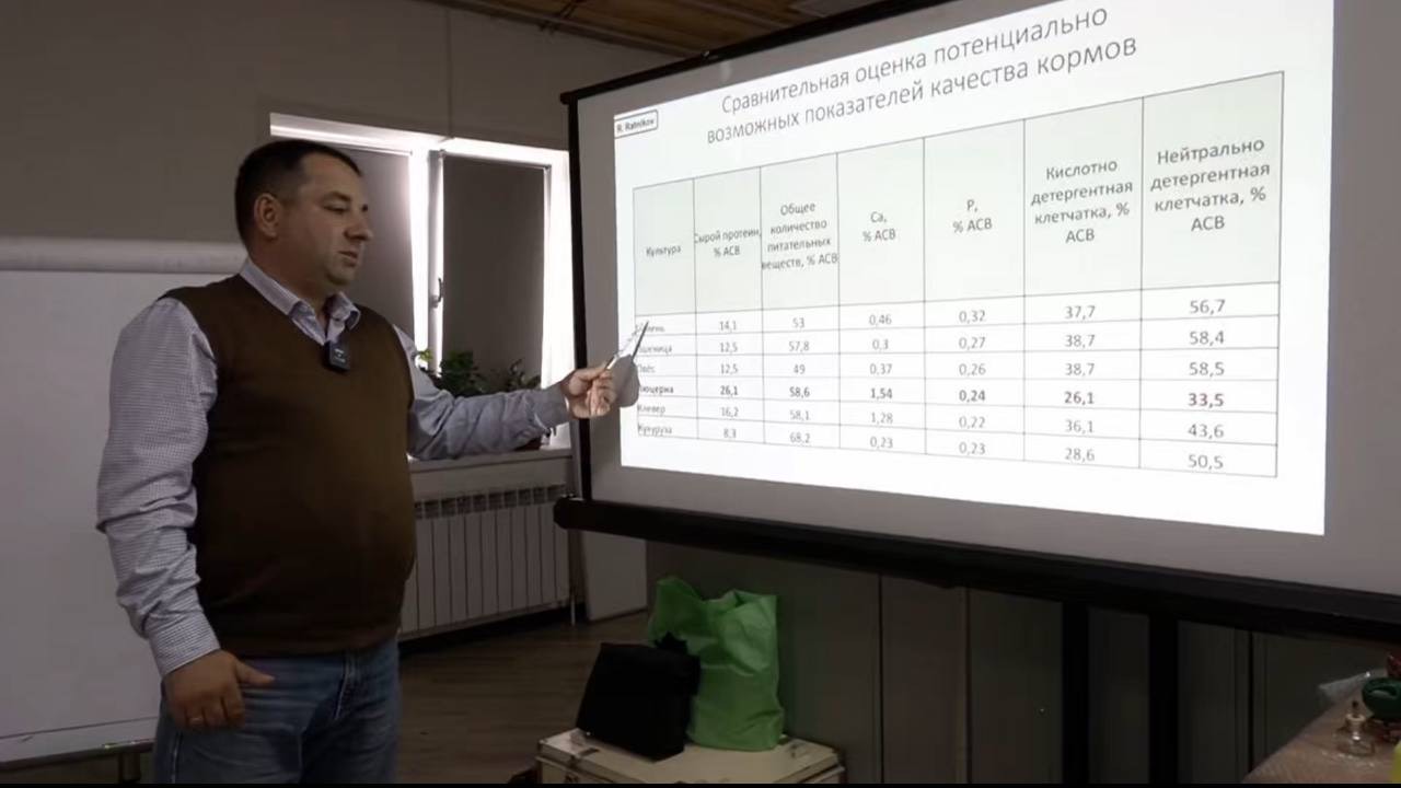 Чем хороша люцерна? Что сдерживает её урожайность и качество? Консультация Ратникова Романа Н.