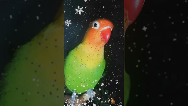 Snapchat-978394099.mp4