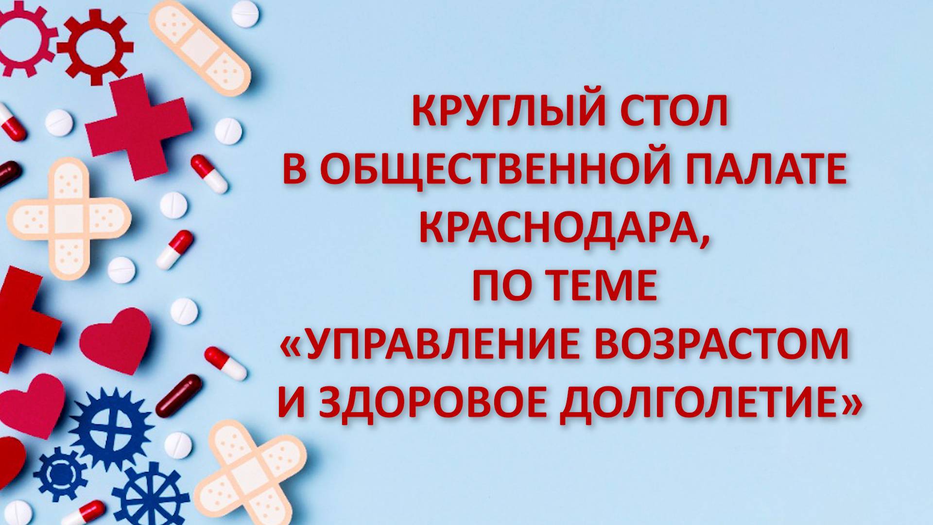 Круглый стол в Общественной палате Краснодара, по теме «управление возрастом и здоровое долголетие»