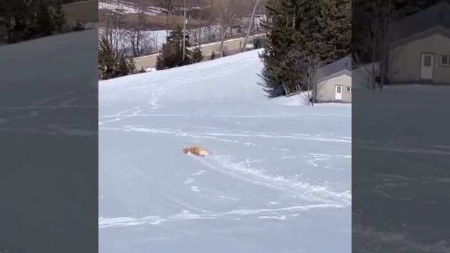 1000023161.mp4