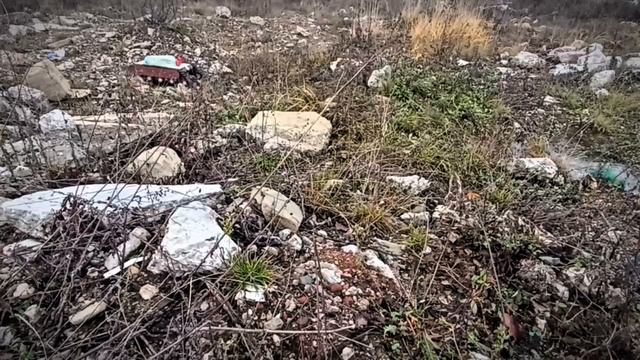 ПУФФ-1.mp4
