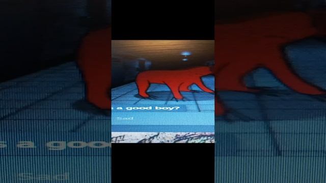 1000019448.mp4