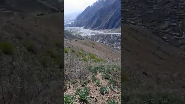Дехаи Шуле Дараи Камароб
