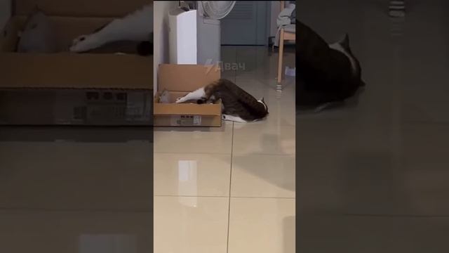 И так каждое утро