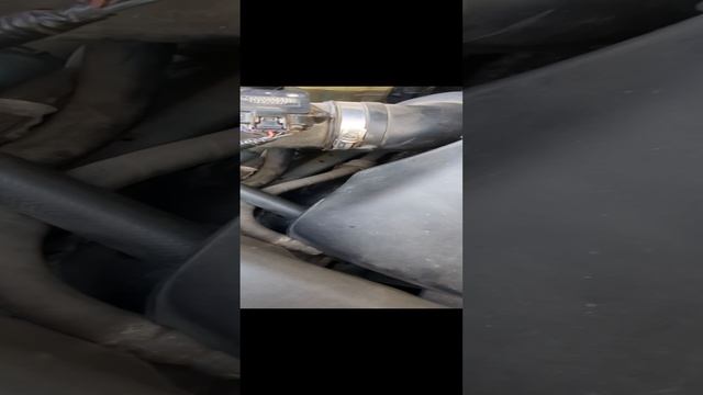1000037081.mp4