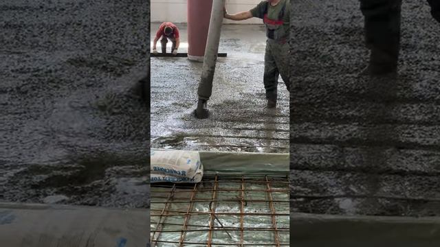 Промышленные полы с применением топпинга - часть 1. Работаем в Томске #shorts #стяжка #стяжка