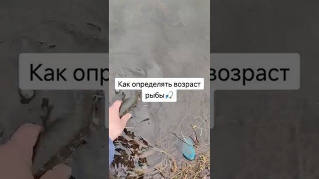 1000023270.mp4
