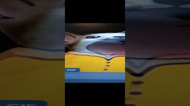 1000019454.mp4
