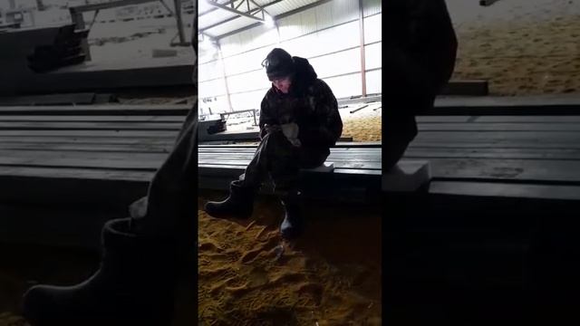 п-о-д-п-и-с-к-а