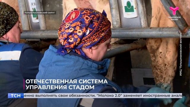 Отечественная система управления стадом