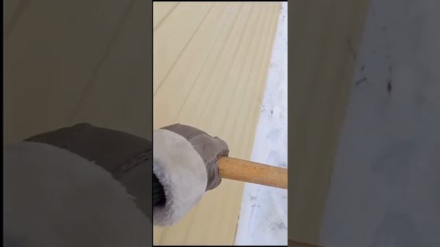 Исноваснег