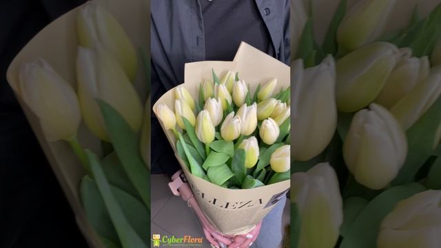 Букет 25 белых тюльпанов