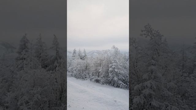 Разведка тропы к телевышке 😉