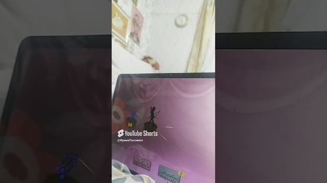 VID-20241210-WA0012.mp4
