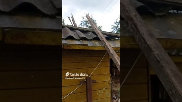Большое осиное гнездо под шифером на крыше