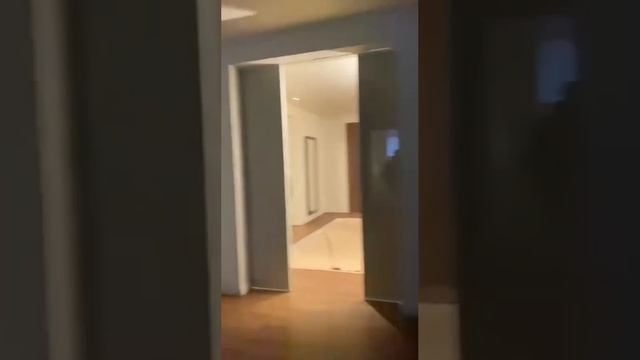 В Хама някои празнуват по улиците свалянето на Башар Асад, в Дамаск плячкосват двореца на Асад.