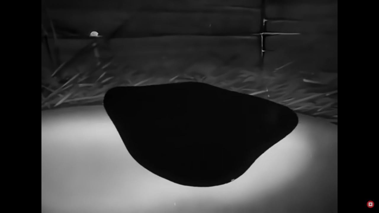 Looney Tunes - The Ducktators 1942 High Quality HD