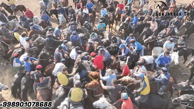 2-QISM. BOʻSTONLIQ MUSTANG MAYDONIDA SUSAN OGʻA KATTA KOʻPKARISI. 07.03.2023. DRON TASVIR