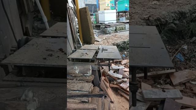 VID_20241210_161353_991.mp4