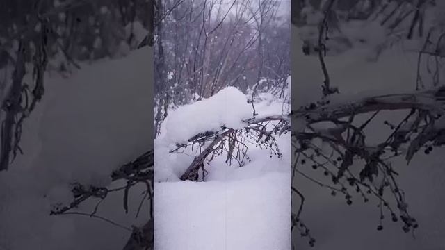 Просто прошел год