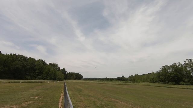 Bill's P-51 Mustang