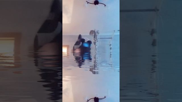 1 эпизод skibidi зомби